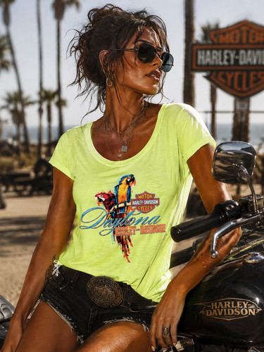 Shirt harley davidson - t-shirt, harley-davidson